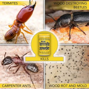 Tratamiento Y Asesino De Moho Para Termitas Y Carpinteros De