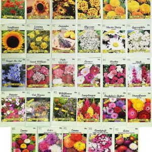 Set De 20 De Valle Verde Flor Semillas 2 Paquetes De Cada Fl