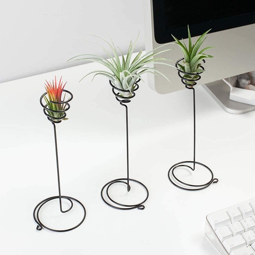 Soporte Para Plantas De Aire, Soporte Para Plantas De Aire,