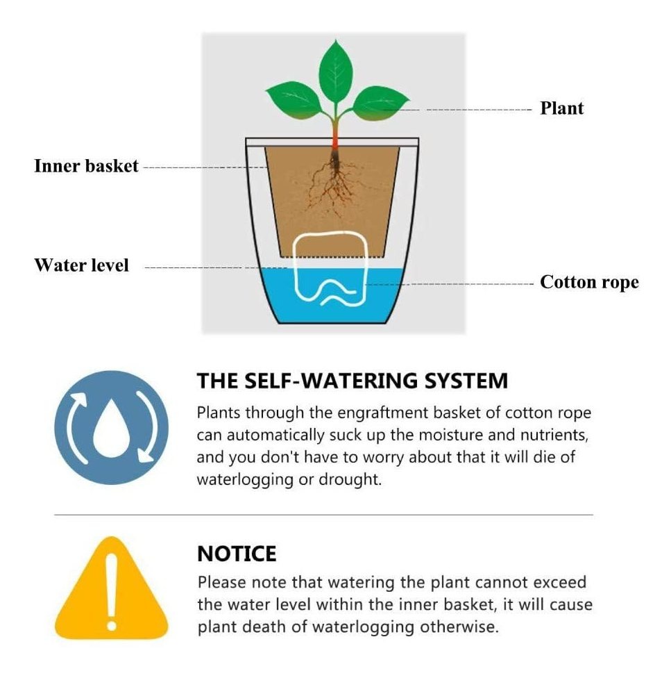 Fengzhitao Macetero De Plástico Transparente Con Riego Autom