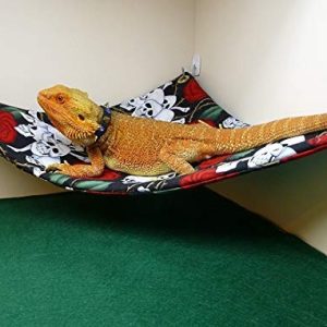 Hamaca Para Dragones Barbudos, Cráneos Y Rosas De Tela Con G