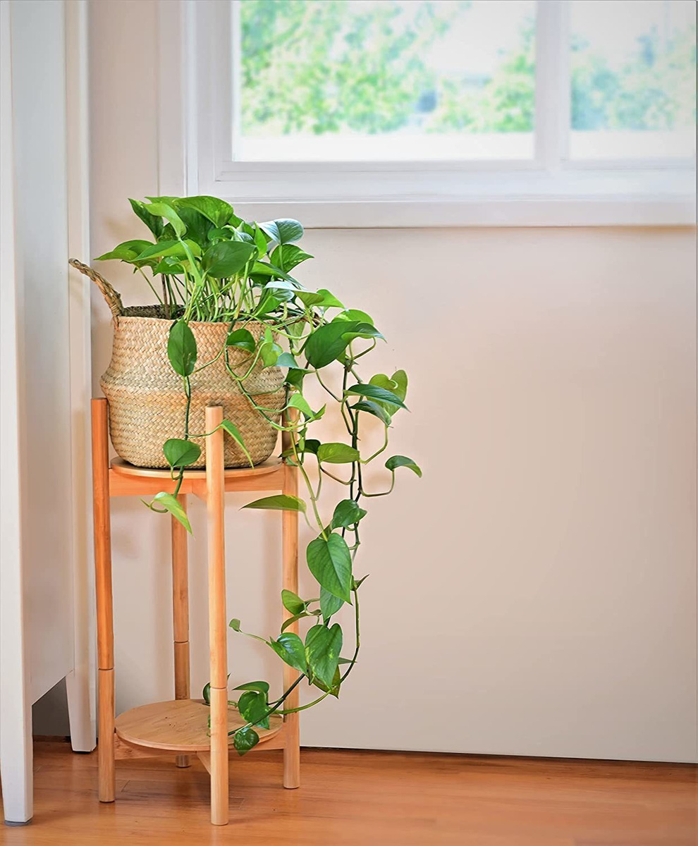 Soporte Alto Para Plantas Soporte De Esquina Y Piso De Mad