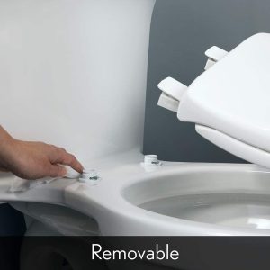 Bemis 9170chsl 000 – Asiento Para Inodoro Con Bisagras Croma