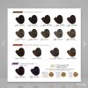 Tinte Colortech 90ml - Paquete 24 piezas - Imagen 3