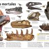 El libro de los Dinosaurios, Enciclopedia prehistórica infantil, tapa dura Editorial DK - Imagen 3