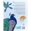 Animales con Superpoderes, Megafauna, Maravillas de la Naturaleza, 5 - 10 años - Imagen 6