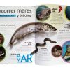 Adaptación Animal, Megafauna, Maravillas de la Naturaleza, 5 - 10 años - Imagen 4