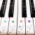 Pegatinas para teclado de piano para teclas 88/61/54/49/37, pegatinas de piano con letras grandes y llamativas para aprender, letras de teclado de piano extraíbles, etiqueta de notas para principiantes y niños, multicolor