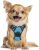 Rabbitgoo Arnés para perros, arnés para Pets sin tirones con 2 clips para correa, chaleco acolchado suave ajustable para perros, chaleco Oxford reflectante sin estrangulamiento para Pets con asa de fácil control para perros pequeños, azul bebé, S