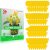 36 trampas adhesivas para moscas de frutas, moscas blancas, hongos, mosquitos e insectos, trampas adhesivas amarillas para atrapar insectos para interior/exterior/Home & Kitchen, trampa para moscas extremadamente pegajosa, no tóxica, 4 formas