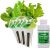 AeroGarden Heirloom Salad Greens Semillas Pod Kit (3-pod)