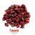 ARANDANO DESHIDRATADO PREMIUM 5 Kg