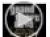 Grand Theft Auto: Episodes From Liberty City – Playstation 3