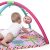 Bright Starts Chirps Encanto Actividad Gimnasio, Pretty In P