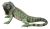 Design Toscano Ql56991 Iggy The Iguana Garden Statue, 22 Pul