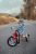 Schwinn Roadster – Triciclo Para Niños