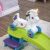 Step2 Unicorn Up Down – Posavasos Con Diseño De Unicornio