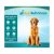Ee.uu.-olor Gratuito Bully Sticks Por Best Bully Sticks – To