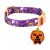 Blueberry Mascotas 4 Patrones Espíritu De Halloween Colecció