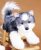 Relleno De La Felpa De Los Animales: Husky Siberiano