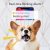 Furbo Dog Camera: Treat Tossing, Full Hd Wifi Pet Camera And