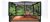 Carolina Custom Cages Terrarium, Tall Large 36lx18dx24h, Eas
