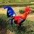 Ekdjkk Molino De Viento De Gallo, 14.0 In Jardín Viento Spin