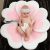 Bañera Bebé De La Flor Del Baño Del Bebé (rosa) – Vernassa
