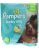 Pampers Bebé Pañales Secos – Tamaño 5-22 Ct