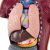 Oye! Tocar! Anatomía Modelo – Torso Del Cuerpo Humano Con