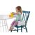 Asiento De Fisher-price Healthy Care Deluxe Booster