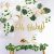 Sweet Baby Co. El Verde De Boho Baby Shower Decoraciones Neu