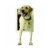 Perfecto Para Mascotas Multi-flex Puerta Para Mascotas