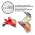 Seamuing 6pcs Mg90s Micro Servo 9g Servo Motor Metal Engrana
