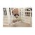 Iris Panel Ejercicio Playpen Animal Doméstico Con La Puerta