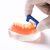 Tiras De Pulido Dentales De Ortodoncia Esmaltadas, Kit De Re