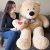 Oso De Peluche Gigante De 5 Empanadas (de Color Café Claro),