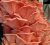100 Rosa Del Hongo Ostra Freza Tapones Para Cultivar Hongos