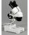 Amscope Se303-pz-e Digital Binocular Estéreo Microscopio, Wf