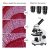 1000x Microscopio Compuesto Para Estudiantes Con Kit Portaob