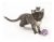 Categorías Knitty Gatito Grande Multicolor – Hilado Del Gato
