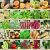 Semillas De Jardín Paquete De Variedades Vegetales Para Plan