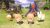 Mundo De Final Fantasy – Playstation 4