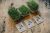 Auto-riego Microgreens Cultivo Y Kit – 3 Micro Verdes Orgáni