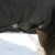 Horze Nevada 1200d Lightweight Waterproof Horse Turnout Rain