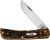Cuchillo De Bolsillo Jr Caso Amber Bone Sod Buster