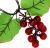 Decoraciones Uva Luces Guirnalda Decoraciones  72 Uvas  9