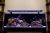 Órbita De Corrientes Marinas Ic Pro Led Reef Aquarium Light