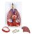 Walter Productos B10427 Sistema Respiratorio Humano Modelo,