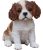 Hi-line Regalo Ltd Sentado Estatua De King Charles Puppy